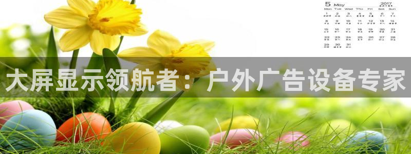 杏宇平台招商电话号码