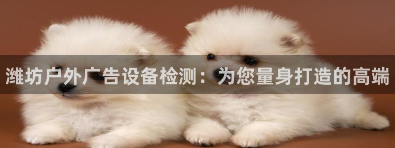 杏宇平台代理怎么样赚钱：潍坊户外广告设备检测：为您量身打造的高端