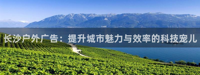 杏宇平台官网注册：长沙户外广告：提升城市