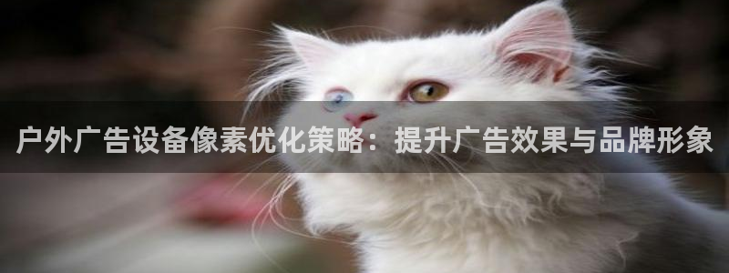 杏宇平台代理多少钱一个月