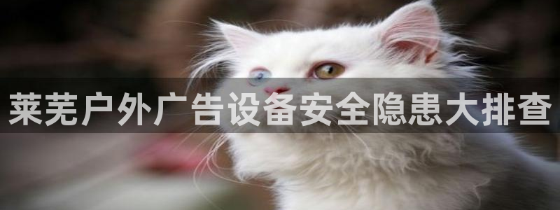 杏宇平台代理怎么样啊