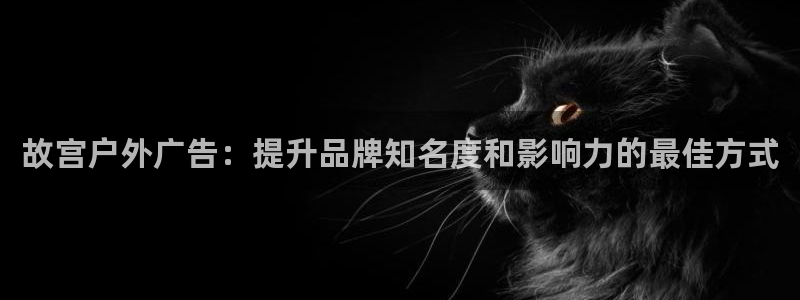 杏宇平台注册登录：故宫户外广告：提升品牌