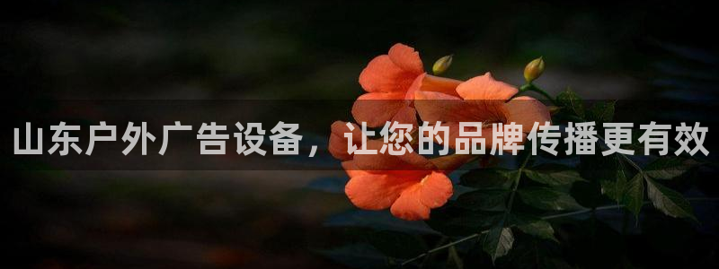 杏宇平台是什么