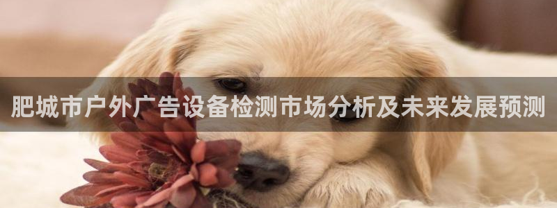 杏宇平台代理怎么样可靠吗：肥城市户外广告设备检测市场分析及未来发展预测