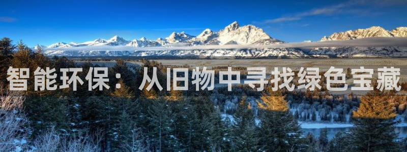 杏宇平台代理多少钱一个