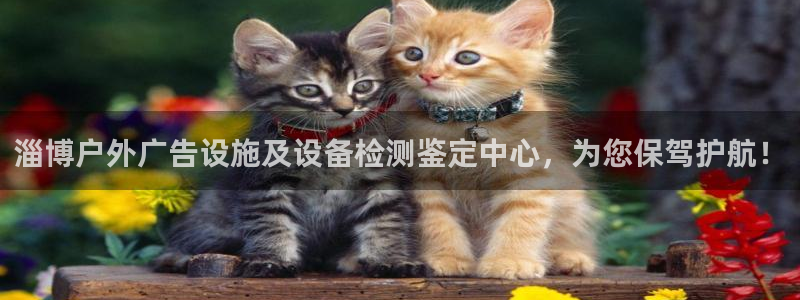 杏宇平台招商电话号码：淄博户外广告设施及设备检测鉴定中心，为您保驾护航！