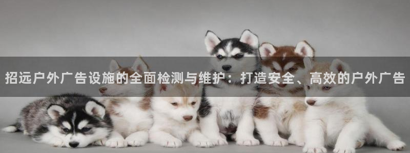 杏宇平台是什么：招远户外广告设施的全面检