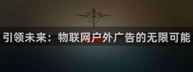 杏宇平台总代理是谁：引领未来：物联网户外