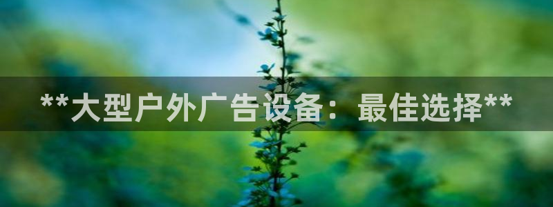 杏宇平台代理怎么样赚钱：**大型户外广告