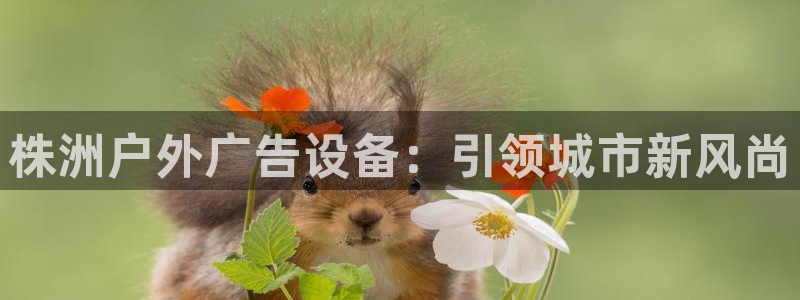 杏宇平台登录方法：株洲户外广告设备：引领