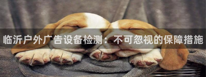 杏宇平台怎么样