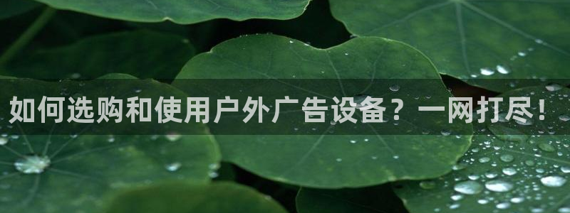 杏宇平台招商怎么样：如何选购和使用户外广