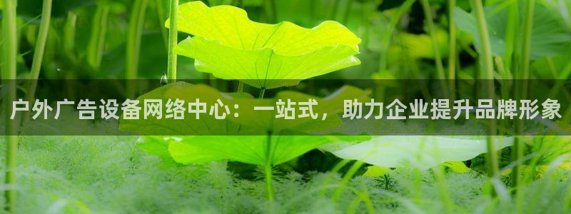 杏宇平台代理多少钱一次