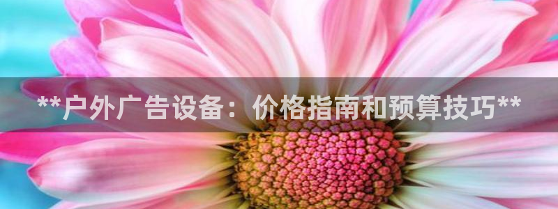 杏宇平台总代理电话