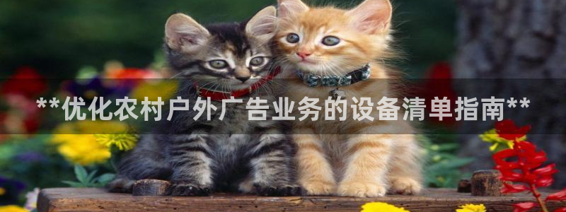 杏宇平台代理怎么赚钱的