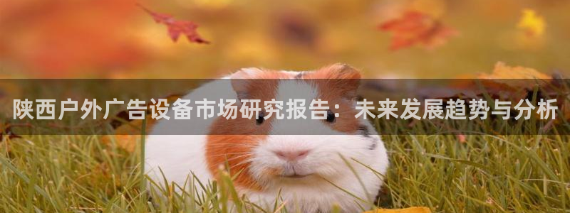 杏宇平台测速链接：陕西户外广告设备市场研